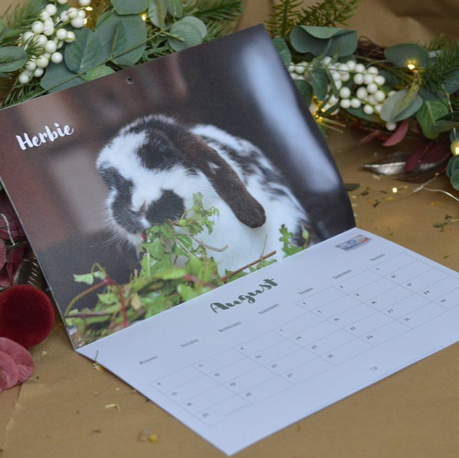 2025 Calendars