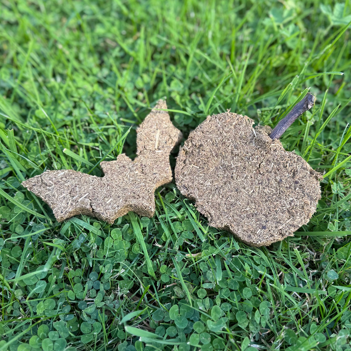 Halloween Duo Treat Set