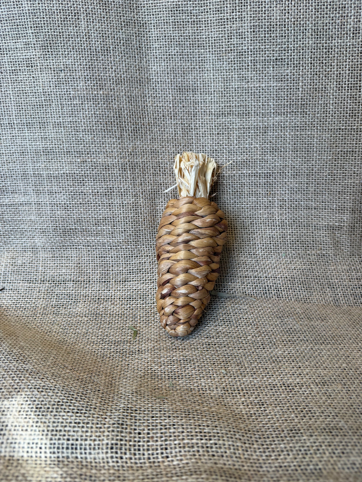 Water Hyacinth Carrot