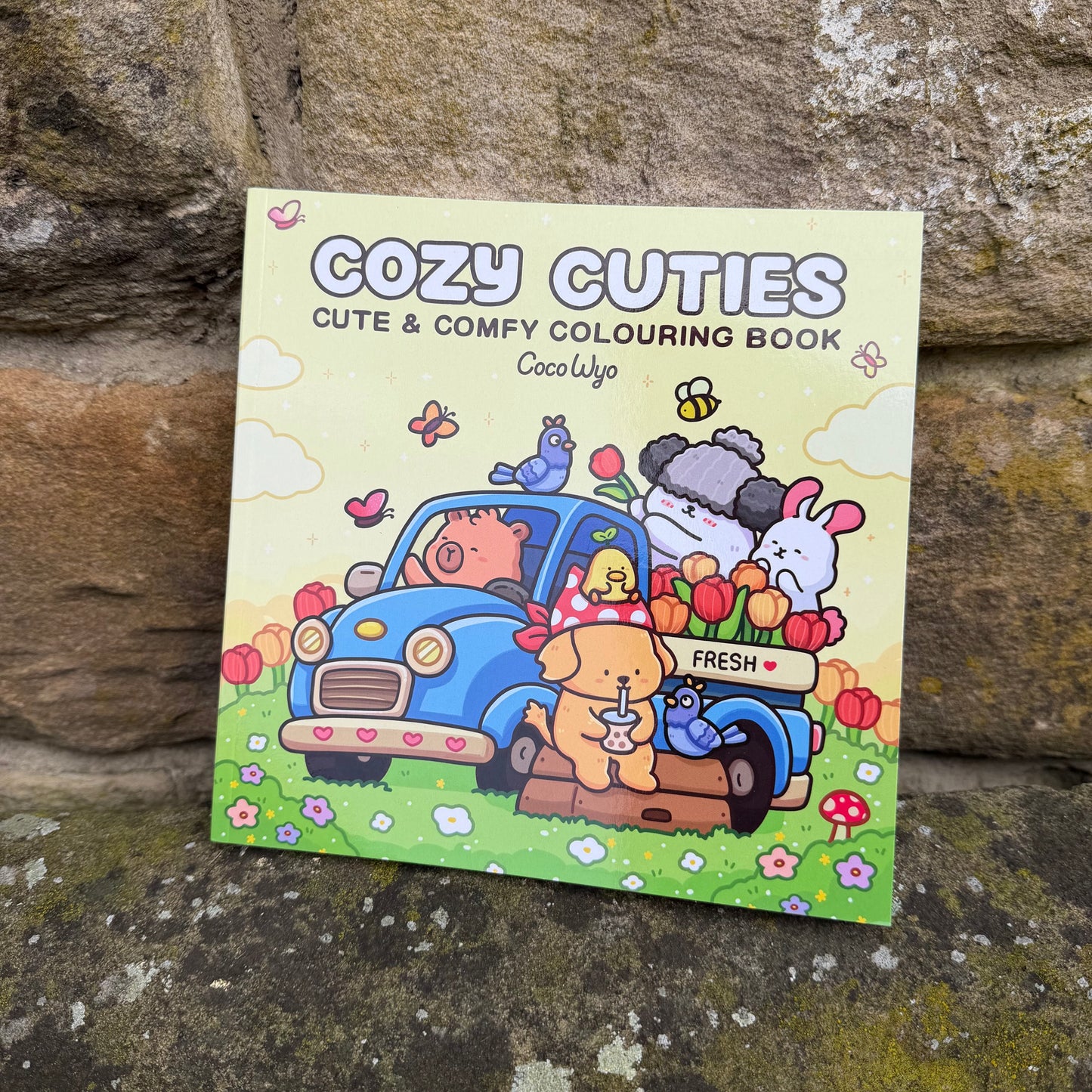 Cozy Cuties Colouring Book