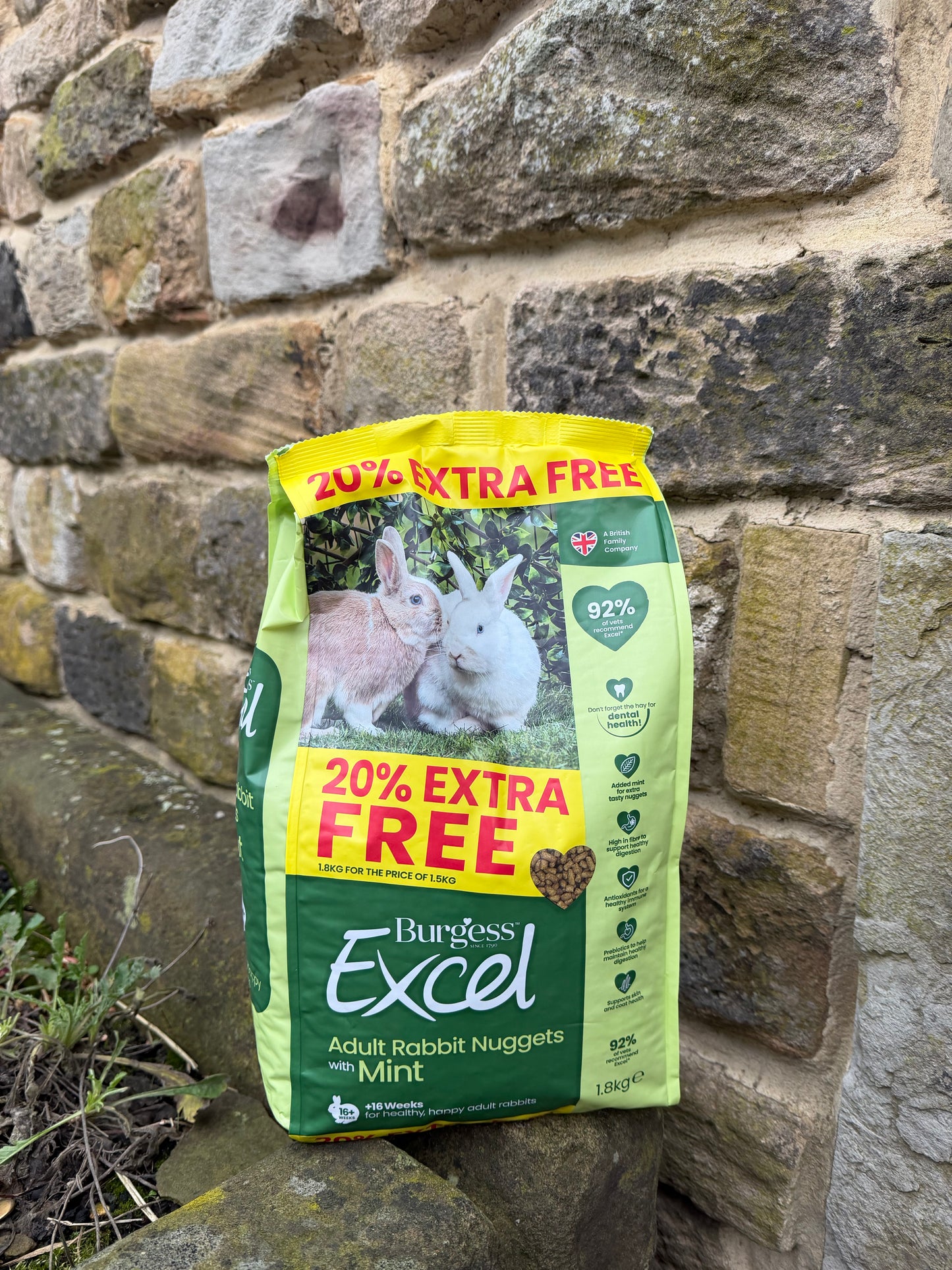 Burgess Excel Tasty Nuggets with Mint Adult Rabbit Food - 1.8KG