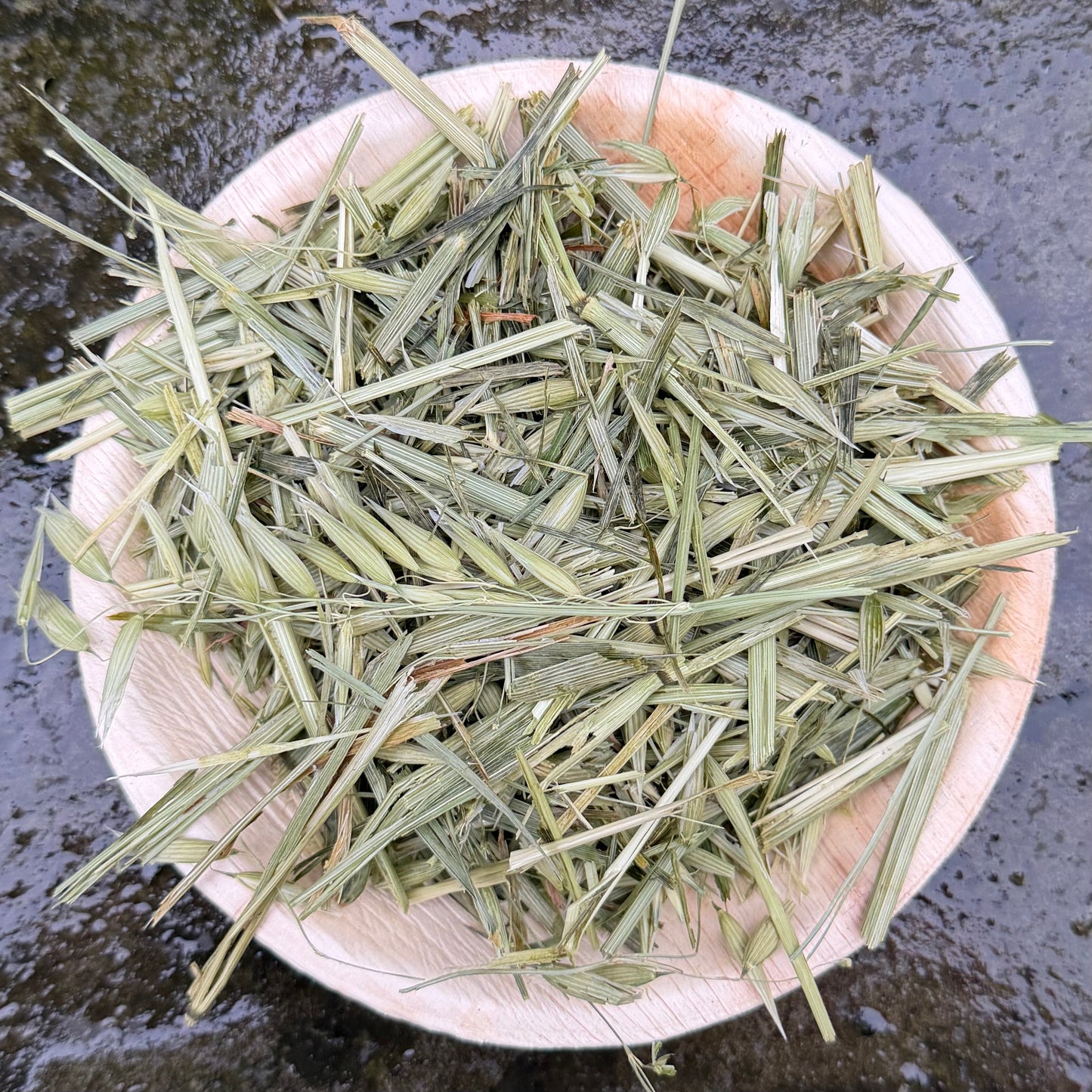 Green Oat Grass