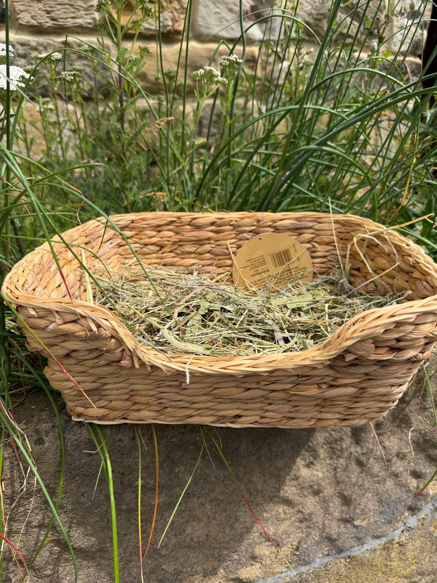 Feast and Fun Hamper