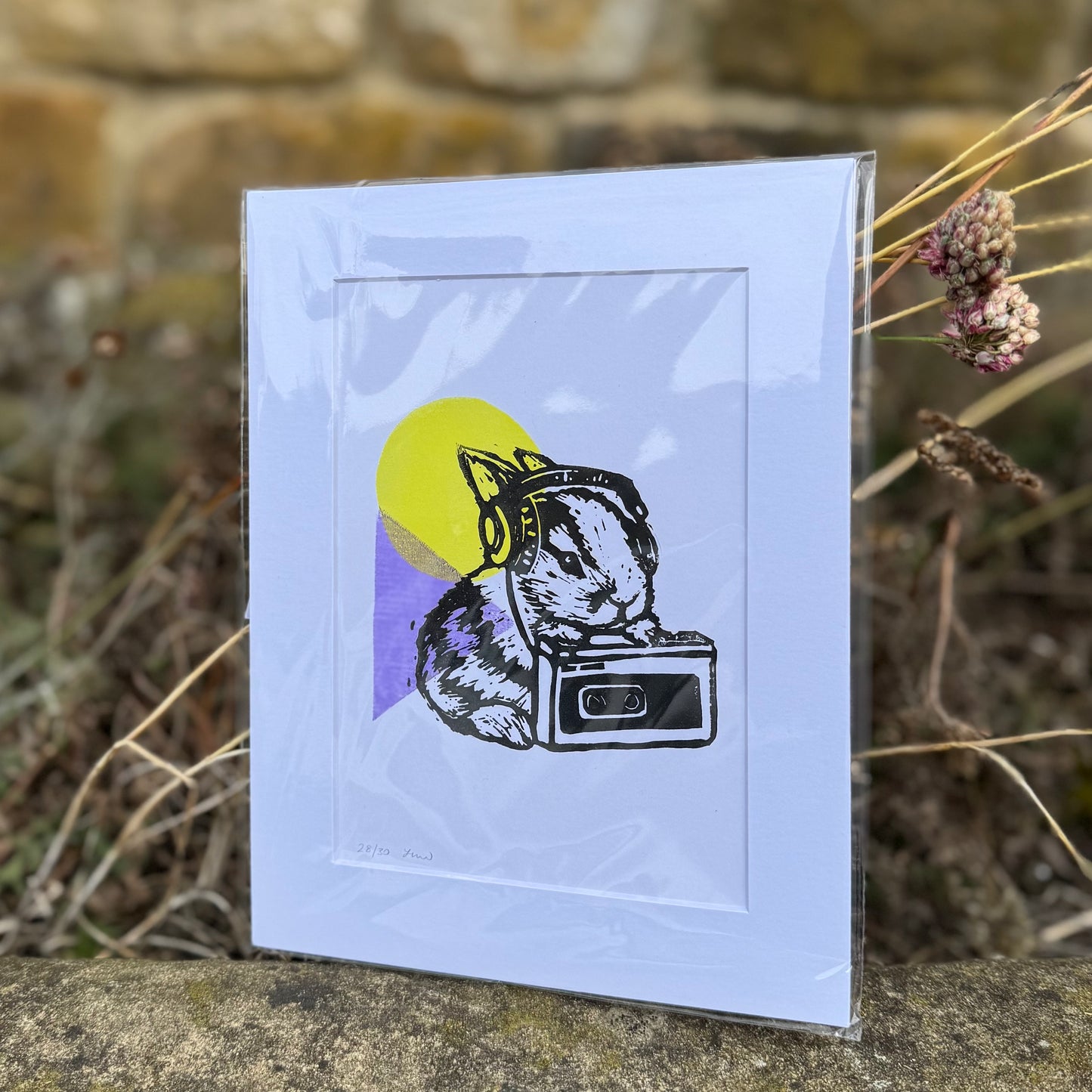 Colour Headphones Rabbit Print