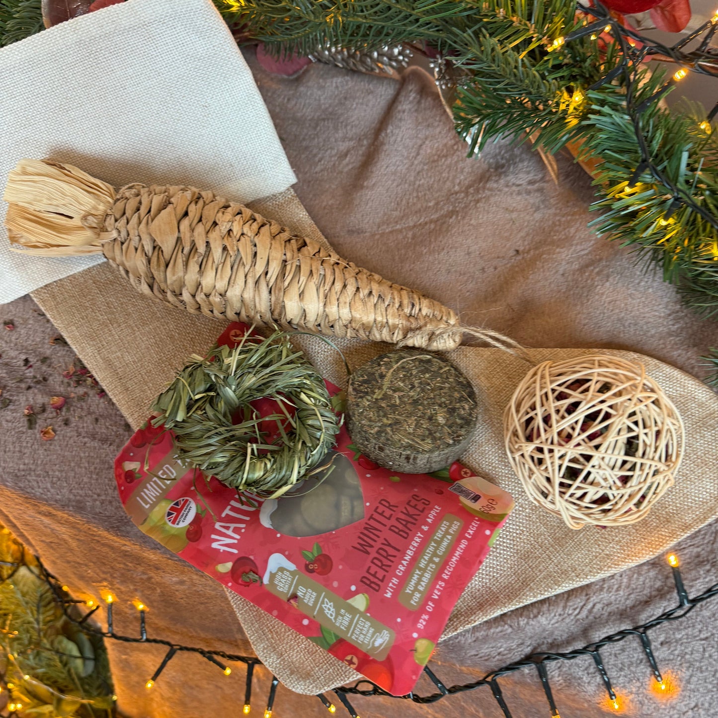 Christmas Morning Stocking