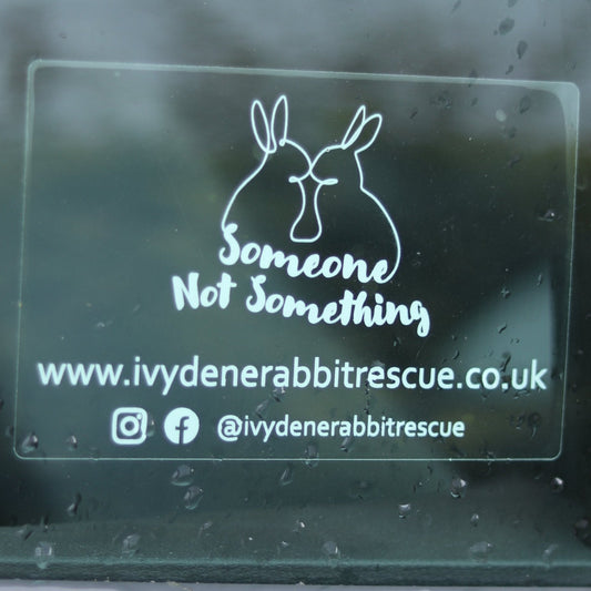 'Someone Not Something' Car Sticker