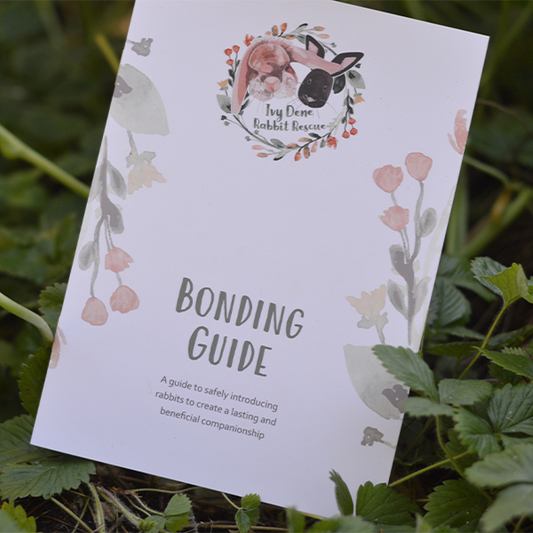 Digital Bonding Guide