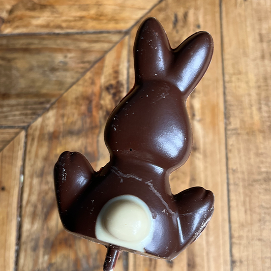 Chocolate Bunny Lolly