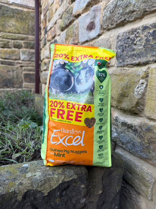 Burgess Excel Tasty Nuggets with Mint Adult Guinea Pig Pellets - 1.8KG