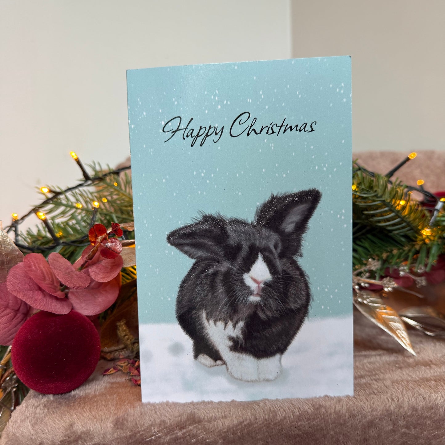 Christmas 2025 cards