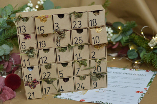 Bunny Advent Calendar
