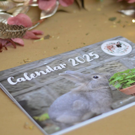 2025 Calendars