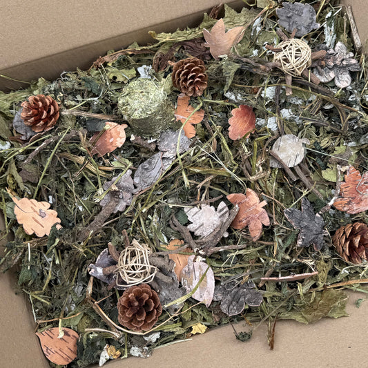 Autumn Forage Box