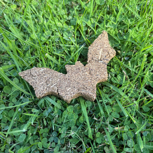 Halloween Bat Treat