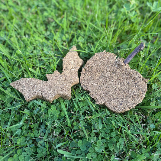 Halloween Duo Treat Set