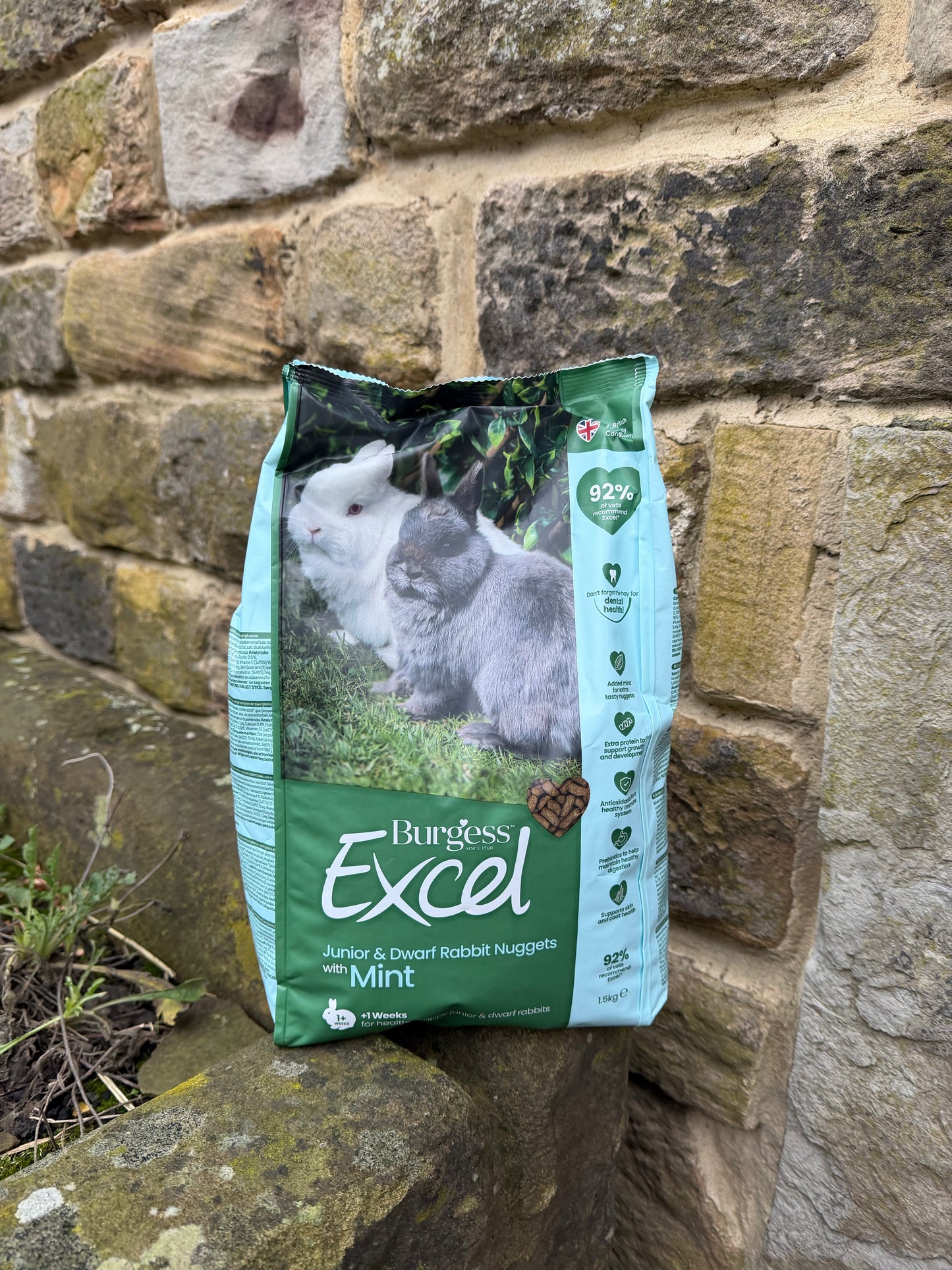 Burgess Excel Tasty Nuggets Junior & Dwarf Rabbit Food with Mint- 1.5KG