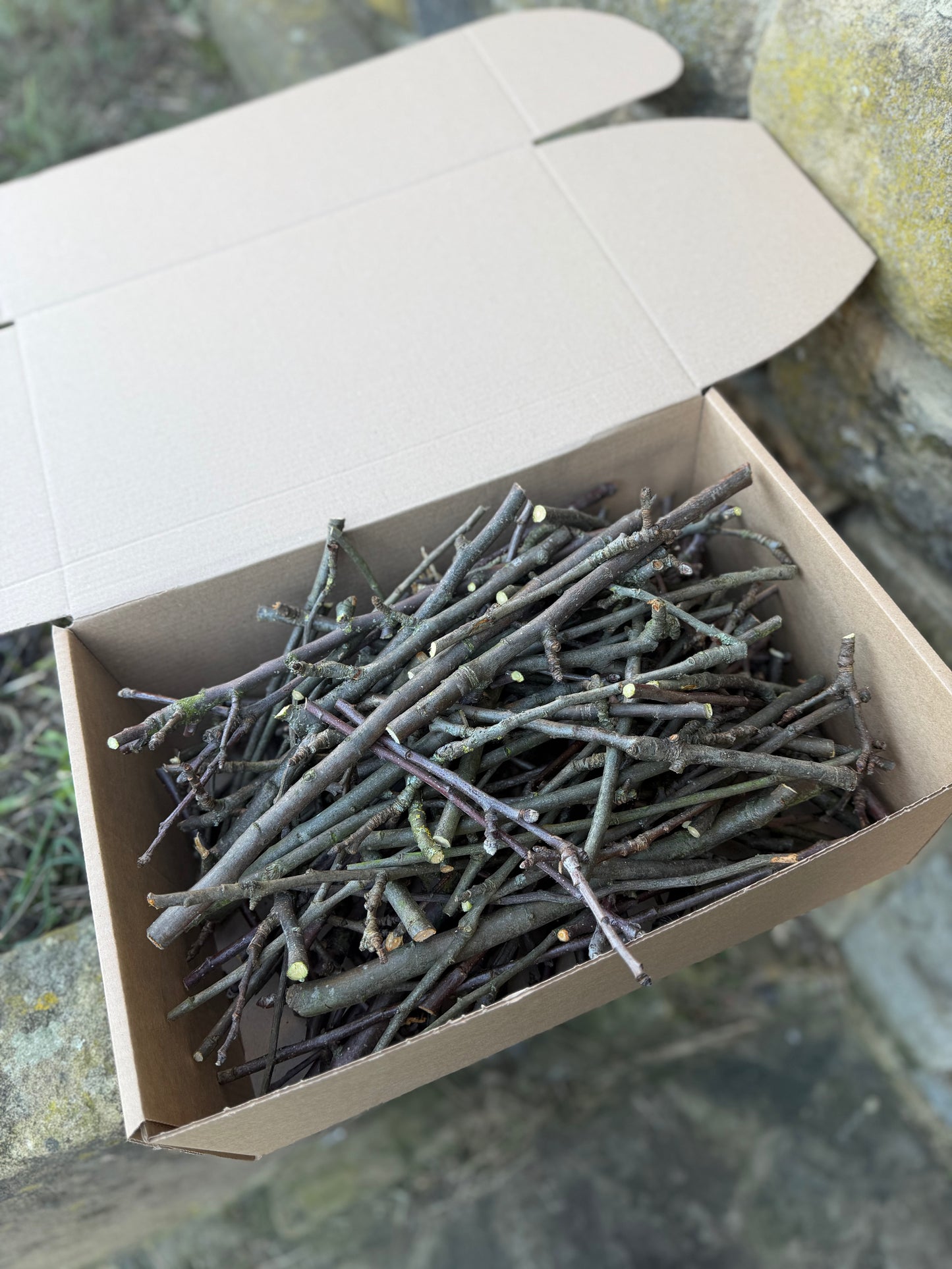 Fresh Apple Branches - 1KG