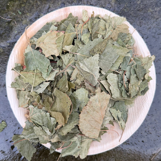 Birch Leaves
