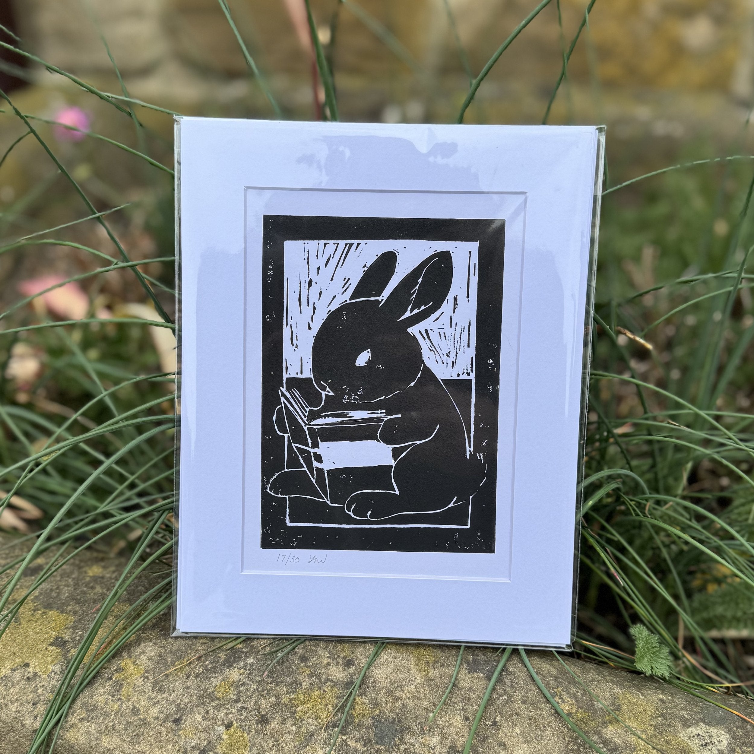 Reading Rabbit Print – Ivy Dene Rabbit Retail