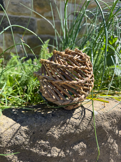 Nature First Willow Ball - Large
