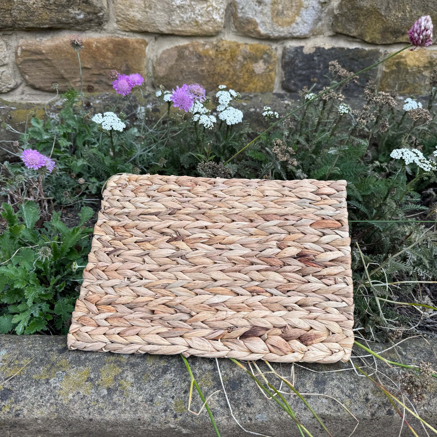 Chill 'N' Chew Mat