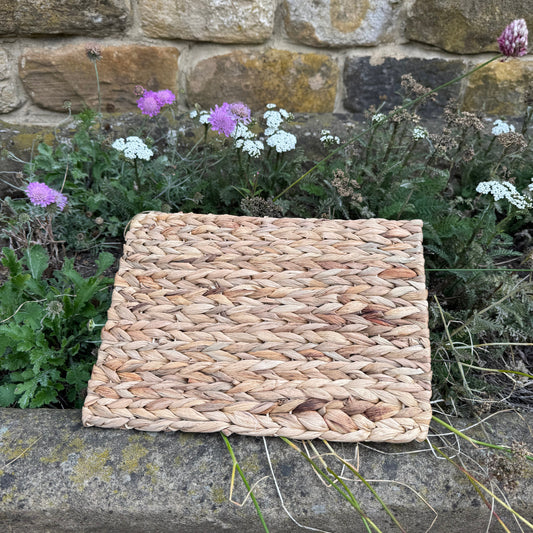 Chill 'N' Chew Mat