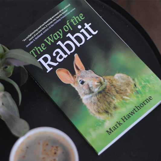 The Way of the Rabbit