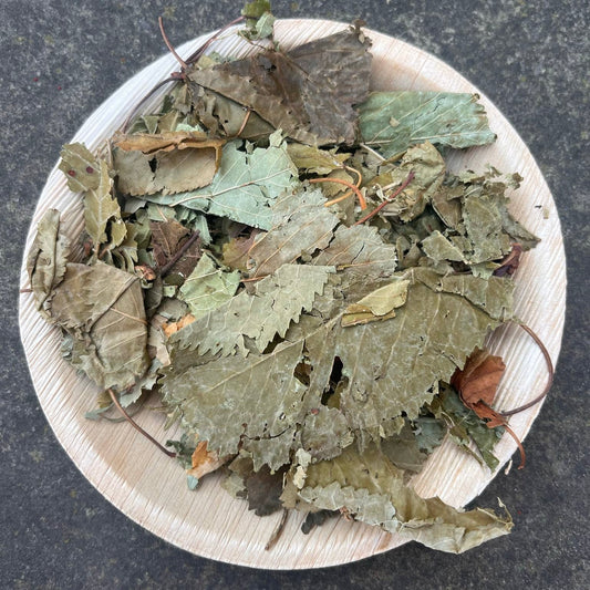 Apple Leaves