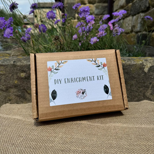 DIY Enrichment Kit