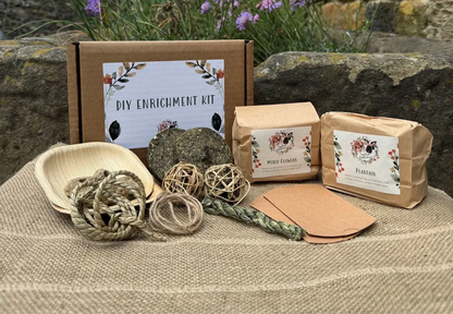 DIY Enrichment Kit