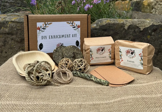 DIY Enrichment Kit