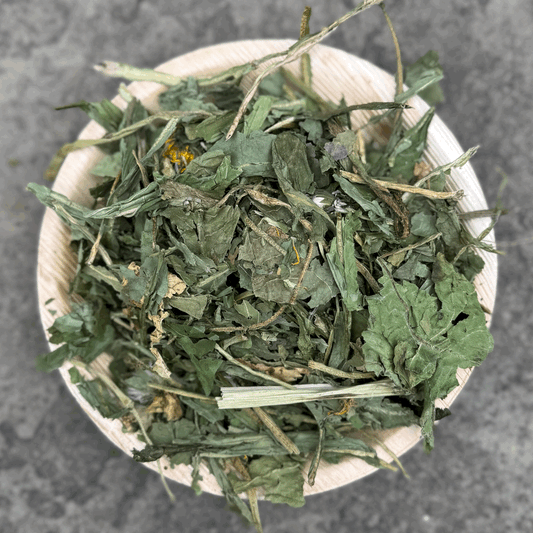 Dandelion Leaves